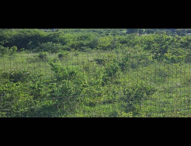 LAND FOR SALE IN TSWINGA